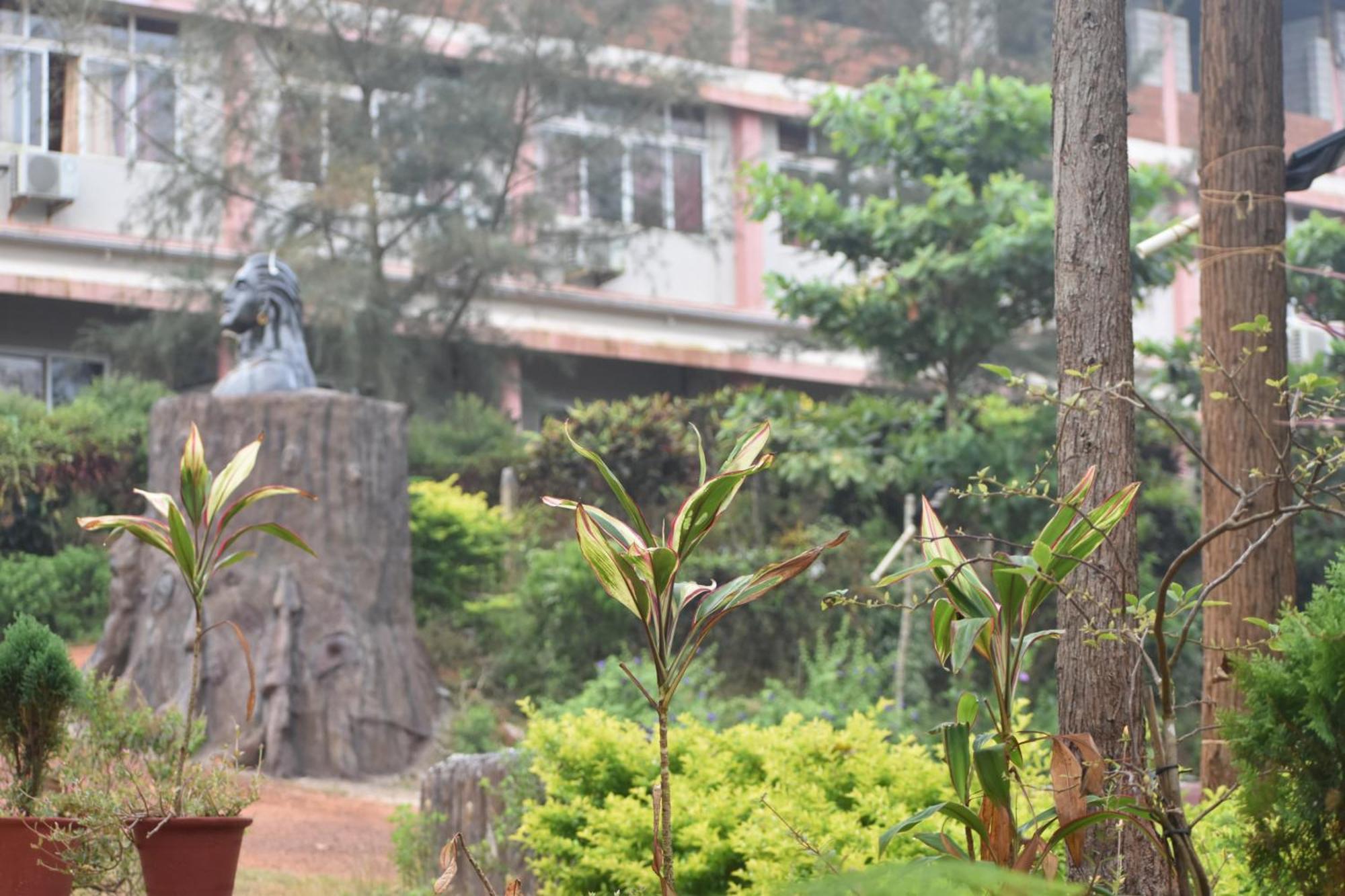 Viraz Valley Gokarna  Bagian luar foto